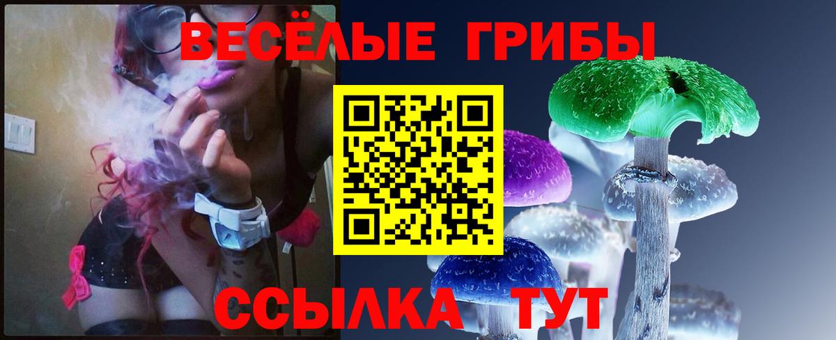 как найти   Вход с VPN  Бугуруслан  Галлюциногенные грибы MAGIC MUSHROOMS 